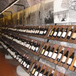 Enoteca Regionale del Barolo_5