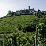 Estate,-Castiglione-Falletto---Mario-Ferrero
