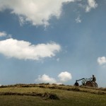 Estate nelle Langhe - Enzo Massa