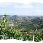 Estate nelle Langhe_2