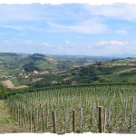 Estate nelle Langhe_3