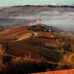 Langhe nella nebbia - Grinzane Cavour - Silvia Muratore