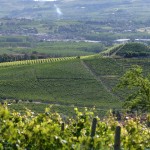Poderi Oddero