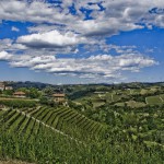 Primavera,-Castiglione-Falletto---Mario-Ferrero