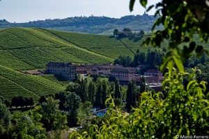 Tenuta Fontanafredda